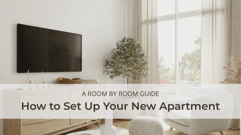 How to Set Up Your New Apartment